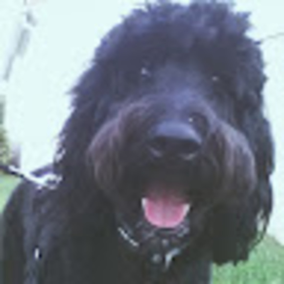 Meet your Posher, Andrea - Picture 1 of 1